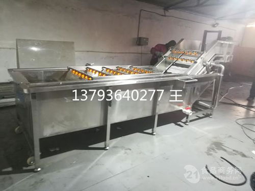 山東果蔬清洗設備價格解析與產品報價指南